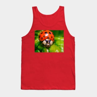 lil' Ladybug Macro Photograph Tank Top